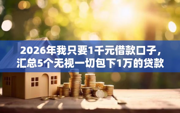 2026年我只要1千元借款口子，汇总5个无视一切包下1万的贷款