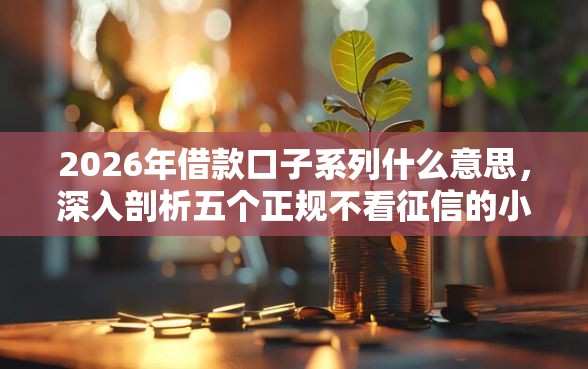 2026年借款口子系列什么意思，深入剖析五个正规不看征信的小额贷款平台
