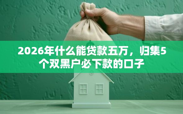2026年什么能贷款五万，归集5个双黑户必下款的口子