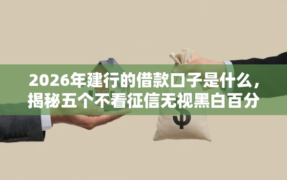2026年建行的借款口子是什么，揭秘五个不看征信无视黑白百分百下款软件