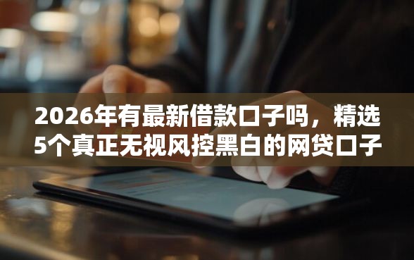2026年有最新借款口子吗，精选5个真正无视风控黑白的网贷口子