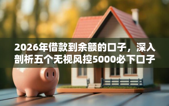 2026年借款到余额的口子，深入剖析五个无视风控5000必下口子