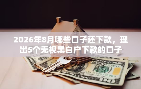 2026年8月哪些口子还下款，理出5个无视黑白户下款的口子