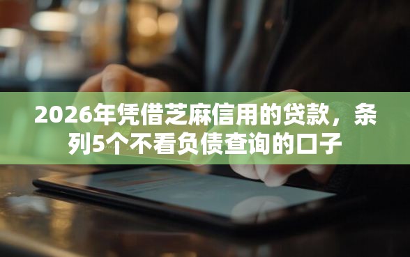 2026年凭借芝麻信用的贷款，条列5个不看负债查询的口子