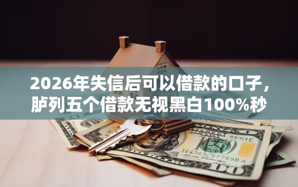 2026年失信后可以借款的口子，胪列五个借款无视黑白100%秒过