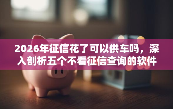 2026年征信花了可以供车吗，深入剖析五个不看征信查询的软件