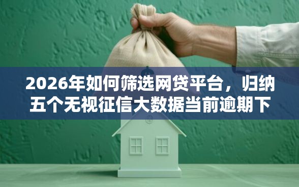 2026年如何筛选网贷平台，归纳五个无视征信大数据当前逾期下款的口子