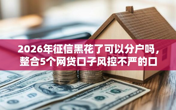 2026年征信黑花了可以分户吗，整合5个网贷口子风控不严的口子