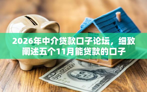 2026年中介贷款口子论坛，细致阐述五个11月能贷款的口子