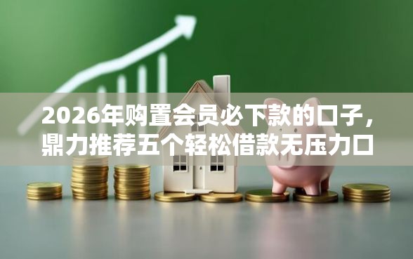 2026年购置会员必下款的口子，鼎力推荐五个轻松借款无压力口子