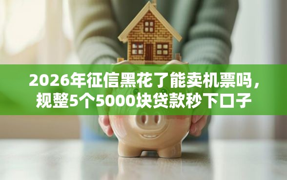 2026年征信黑花了能卖机票吗，规整5个5000块贷款秒下口子