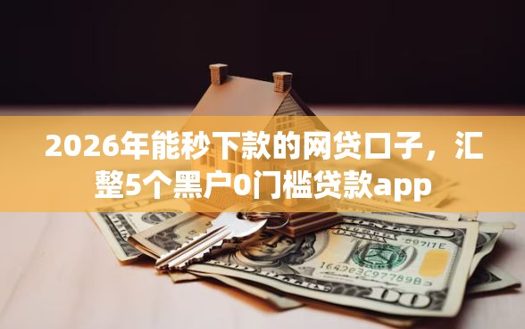 2026年能秒下款的网贷口子，汇整5个黑户0门槛贷款app