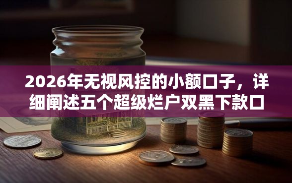 2026年无视风控的小额口子，详细阐述五个超级烂户双黑下款口子
