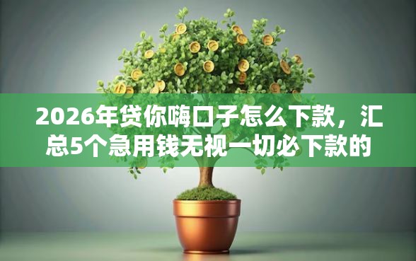 2026年贷你嗨口子怎么下款，汇总5个急用钱无视一切必下款的口子