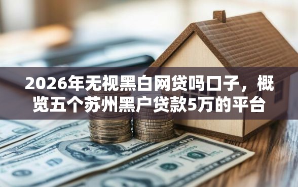 2026年无视黑白网贷吗口子，概览五个苏州黑户贷款5万的平台