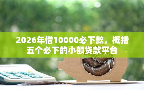2026年借10000必下款，概括五个必下的小额贷款平台