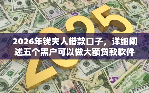 2026年钱夫人借款口子，详细阐述五个黑户可以做大额贷款软件