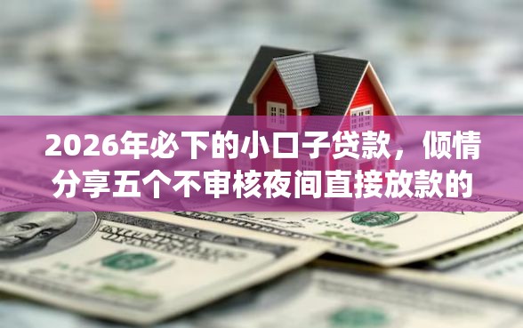 2026年必下的小口子贷款，倾情分享五个不审核夜间直接放款的网贷app