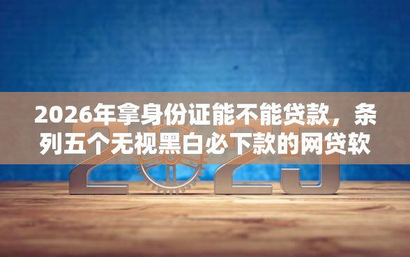 2026年拿身份证能不能贷款，条列五个无视黑白必下款的网贷软件
