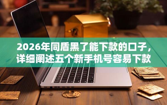 2026年同盾黑了能下款的口子，详细阐述五个新手机号容易下款的平台