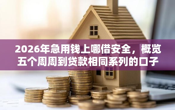 2026年急用钱上哪借安全，概览五个周周到贷款相同系列的口子