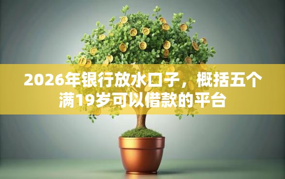 2026年银行放水口子，概括五个满19岁可以借款的平台