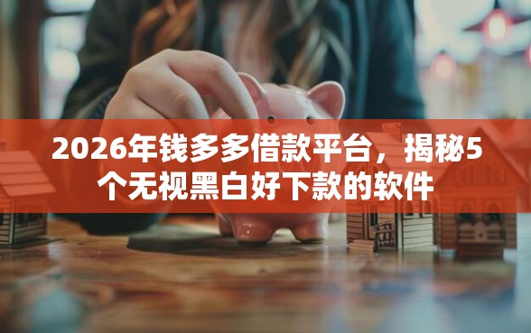 2026年钱多多借款平台，揭秘5个无视黑白好下款的软件