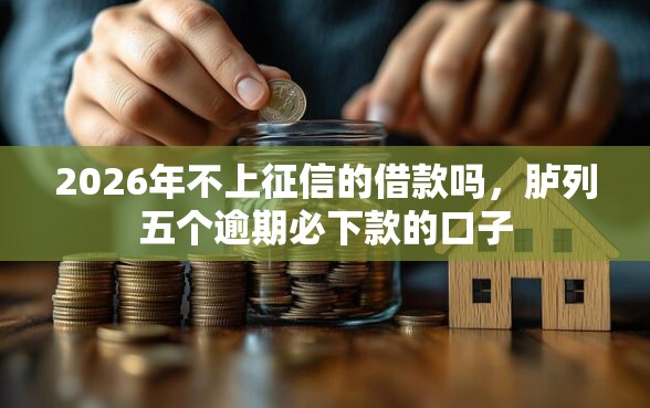 2026年不上征信的借款吗，胪列五个逾期必下款的口子