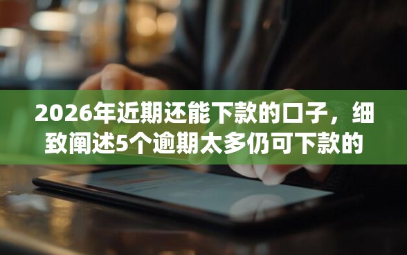 2026年近期还能下款的口子，细致阐述5个逾期太多仍可下款的app
