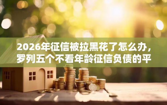 2026年征信被拉黑花了怎么办，罗列五个不看年龄征信负债的平台