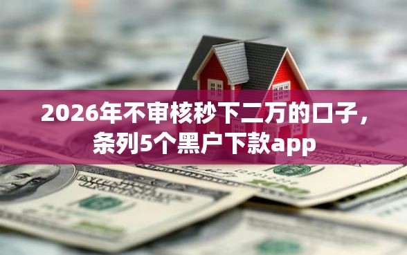2026年不审核秒下二万的口子，条列5个黑户下款app
