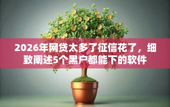 2026年网贷太多了征信花了，细致阐述5个黑户都能下的软件