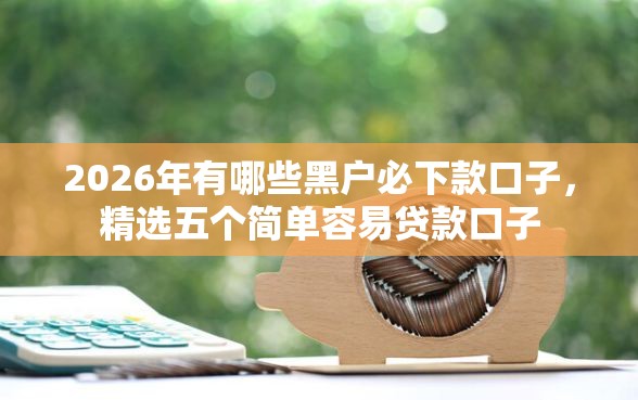 2026年有哪些黑户必下款口子，精选五个简单容易贷款口子