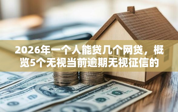 2026年一个人能贷几个网贷，概览5个无视当前逾期无视征信的借款口子