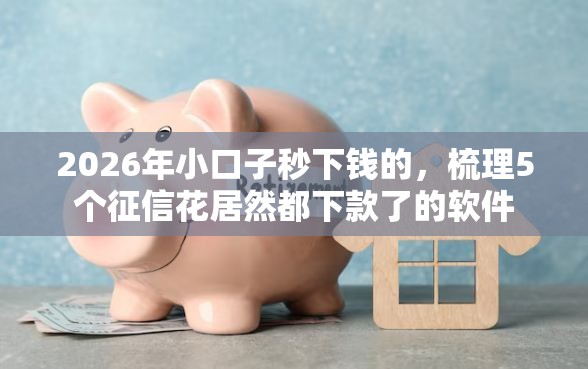 2026年小口子秒下钱的,梳理5个征信花居然都下款了的软件 2026年小口子秒下钱的,梳理5个征信花居然都下款了的软件