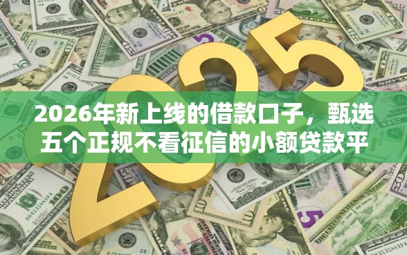 2026年新上线的借款口子，甄选五个正规不看征信的小额贷款平台