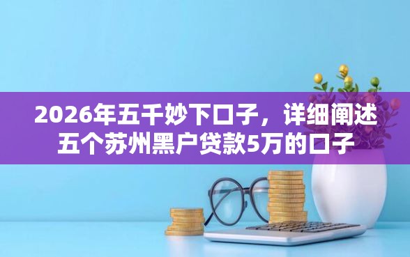 2026年五千妙下口子，详细阐述五个苏州黑户贷款5万的口子