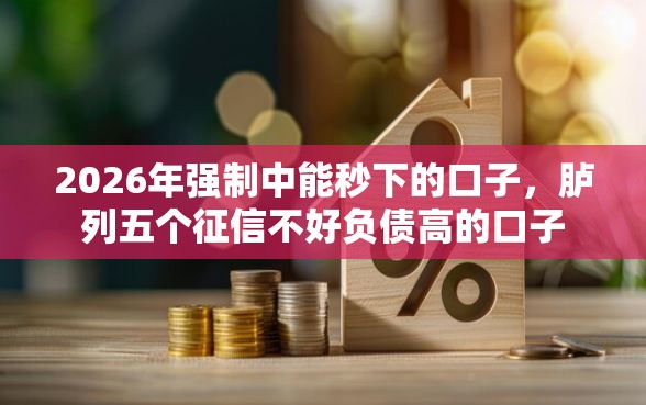 2026年强制中能秒下的口子，胪列五个征信不好负债高的口子