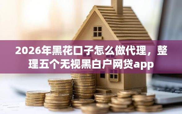 2026年黑花口子怎么做代理，整理五个无视黑白户网贷app