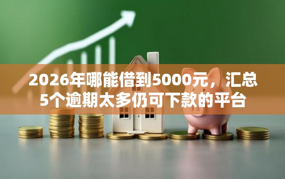 2026年哪能借到5000元，汇总5个逾期太多仍可下款的平台