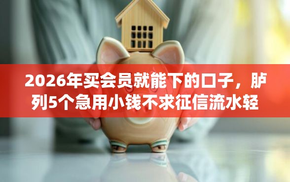 2026年买会员就能下的口子，胪列5个急用小钱不求征信流水轻松贷的app