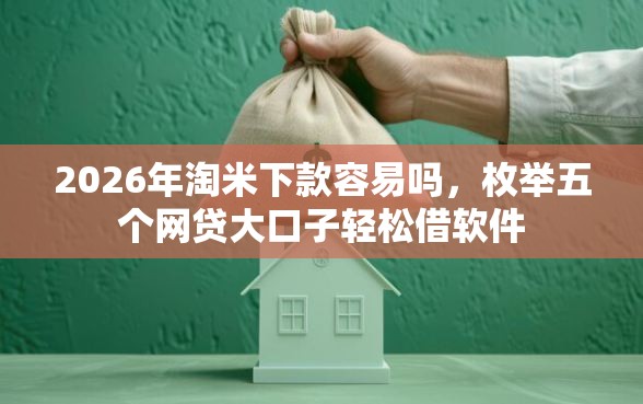 2026年淘米下款容易吗，枚举五个网贷大口子轻松借软件