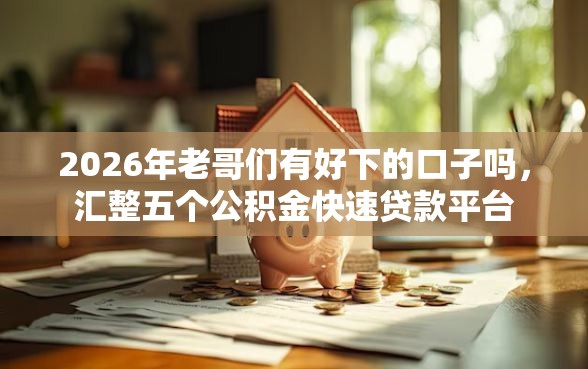 2026年老哥们有好下的口子吗，汇整五个公积金快速贷款平台