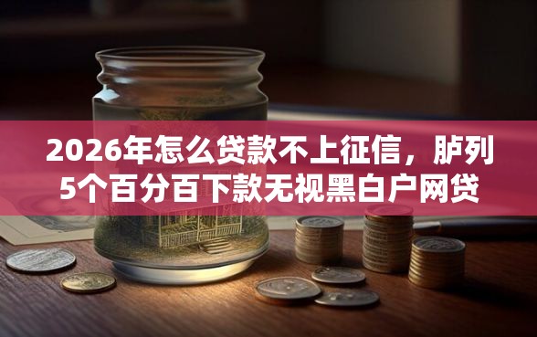 2026年怎么贷款不上征信，胪列5个百分百下款无视黑白户网贷软件