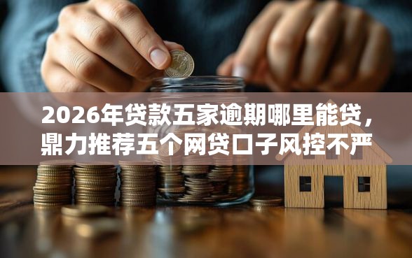 2026年贷款五家逾期哪里能贷,鼎力推荐五个网贷口子风控不严的平台 2026年贷款五家逾期哪里能贷,鼎力推荐五个网贷口子风控不严的平台