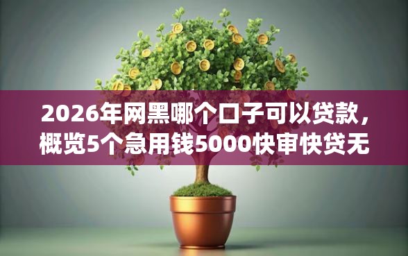 2026年网黑哪个口子可以贷款，概览5个急用钱5000快审快贷无需征信app