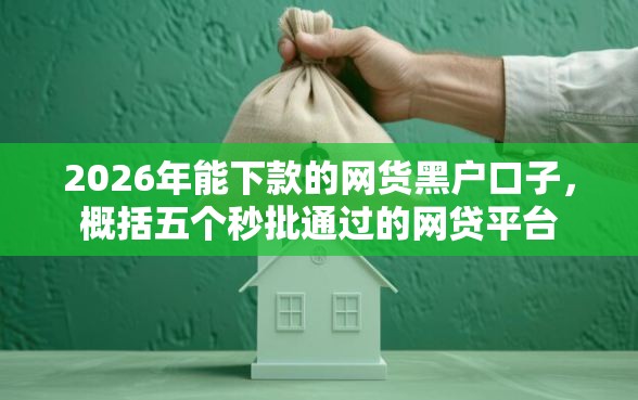 2026年能下款的网货黑户口子，概括五个秒批通过的网贷平台