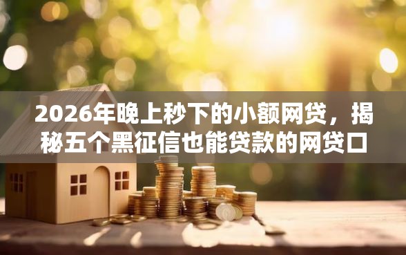 2026年晚上秒下的小额网贷，揭秘五个黑征信也能贷款的网贷口子
