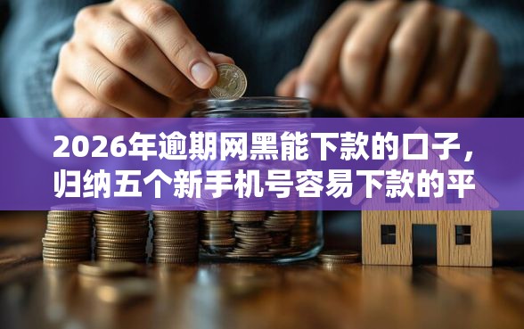 2026年逾期网黑能下款的口子，归纳五个新手机号容易下款的平台