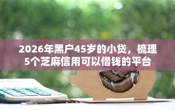 2026年黑户45岁的小贷，梳理5个芝麻信用可以借钱的平台